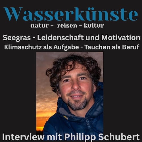 Philipp Schubert über das grüne Gold der Meere: Seegras unser heimlicher Klima-Superheld